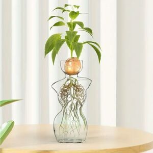 Elegant Body Design Glass Vase